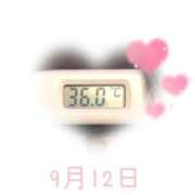 ヒメ日記 2025/09/12 09:00 投稿 ゆきな 石庭