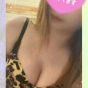 ヒメ日記 2025/09/15 06:00 投稿 ゆきな 石庭