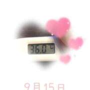 ヒメ日記 2025/09/15 09:00 投稿 ゆきな 石庭