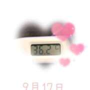 ヒメ日記 2025/09/17 09:00 投稿 ゆきな 石庭