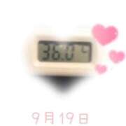ヒメ日記 2025/09/19 09:00 投稿 ゆきな 石庭