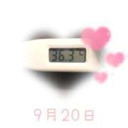 ヒメ日記 2025/09/20 09:00 投稿 ゆきな 石庭