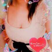 ヒメ日記 2025/09/22 08:34 投稿 ゆきな 石庭