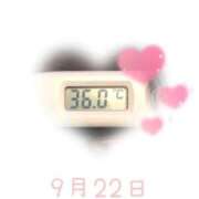 ヒメ日記 2025/09/22 09:01 投稿 ゆきな 石庭