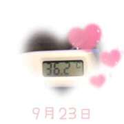 ヒメ日記 2025/09/23 09:01 投稿 ゆきな 石庭