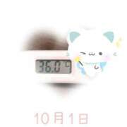 ヒメ日記 2025/10/01 09:00 投稿 ゆきな 石庭