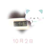 ヒメ日記 2025/10/02 09:10 投稿 ゆきな 石庭