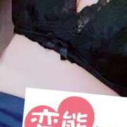 ヒメ日記 2025/10/02 15:33 投稿 ゆきな 石庭