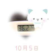 ヒメ日記 2025/10/05 09:00 投稿 ゆきな 石庭