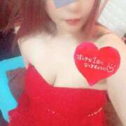 ヒメ日記 2025/10/10 06:40 投稿 ゆきな 石庭