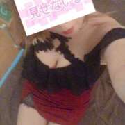 ヒメ日記 2025/10/10 12:20 投稿 ゆきな 石庭