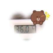 ヒメ日記 2025/10/11 09:03 投稿 ゆきな 石庭