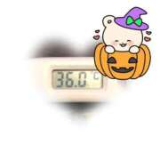 ヒメ日記 2025/10/15 09:00 投稿 ゆきな 石庭