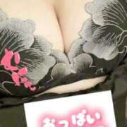 ヒメ日記 2025/10/19 15:20 投稿 ゆきな 石庭