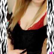 ヒメ日記 2025/10/20 12:29 投稿 ゆきな 石庭