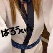 ヒメ日記 2025/10/22 06:40 投稿 ゆきな 石庭