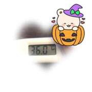 ヒメ日記 2025/10/22 09:00 投稿 ゆきな 石庭