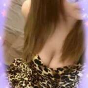 ヒメ日記 2025/11/04 12:32 投稿 ゆきな 石庭