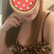 ヒメ日記 2025/11/07 06:00 投稿 ゆきな 石庭