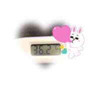 ヒメ日記 2025/11/15 09:20 投稿 ゆきな 石庭