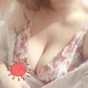 ヒメ日記 2025/11/18 06:00 投稿 ゆきな 石庭