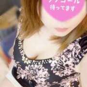 ヒメ日記 2025/11/18 12:31 投稿 ゆきな 石庭