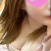 ヒメ日記 2025/11/25 07:20 投稿 ゆきな 石庭