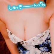 ヒメ日記 2025/11/27 08:20 投稿 ゆきな 石庭