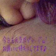 ヒメ日記 2025/12/10 07:20 投稿 ゆきな 石庭