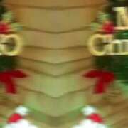 ヒメ日記 2025/12/14 20:37 投稿 ゆきな 石庭