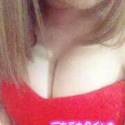 ヒメ日記 2025/12/15 15:20 投稿 ゆきな 石庭