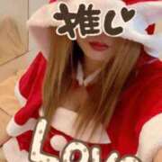 ヒメ日記 2025/12/23 07:20 投稿 ゆきな 石庭