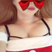 ヒメ日記 2025/12/24 07:20 投稿 ゆきな 石庭