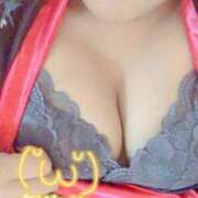 ヒメ日記 2025/12/29 07:34 投稿 ゆきな 石庭