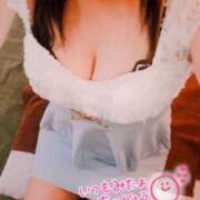 ヒメ日記 2026/02/09 06:40 投稿 ゆきな 石庭