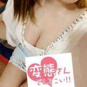 ヒメ日記 2026/02/16 15:30 投稿 ゆきな 石庭