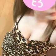 ヒメ日記 2026/02/26 21:34 投稿 ゆきな 石庭