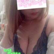 ヒメ日記 2026/03/06 06:40 投稿 ゆきな 石庭