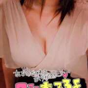 ヒメ日記 2026/04/03 08:34 投稿 ゆきな 石庭