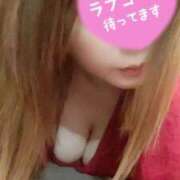 ヒメ日記 2026/04/17 06:40 投稿 ゆきな 石庭