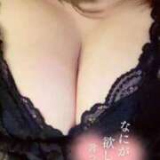 ヒメ日記 2026/05/20 08:35 投稿 ゆきな 石庭