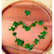 ヒメ日記 2025/01/25 23:56 投稿 さとみ モアグループ神栖人妻花壇