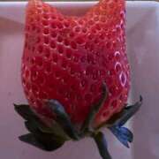 ヒメ日記 2025/03/05 23:43 投稿 さとみ モアグループ神栖人妻花壇