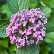 ヒメ日記 2025/06/10 23:40 投稿 さとみ モアグループ神栖人妻花壇