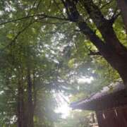 ヒメ日記 2025/06/23 09:19 投稿 さとみ モアグループ神栖人妻花壇