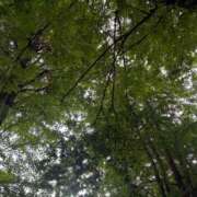 ヒメ日記 2025/07/03 15:51 投稿 さとみ モアグループ神栖人妻花壇