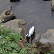 ヒメ日記 2025/10/20 17:27 投稿 さとみ モアグループ神栖人妻花壇