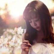 ヒメ日記 2026/04/03 09:13 投稿 さとみ モアグループ神栖人妻花壇