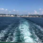 ヒメ日記 2024/12/12 12:35 投稿 みずき 石庭