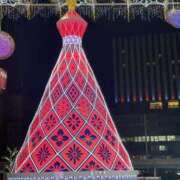 ヒメ日記 2025/01/06 09:08 投稿 みずき 石庭